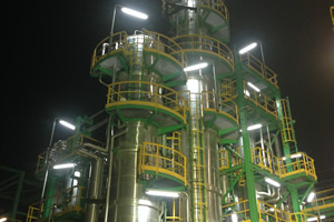 Distillazioni Dammer
