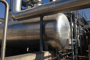 Dammer Solvent Recovery System