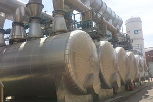 Dammer Solvent Recovery System